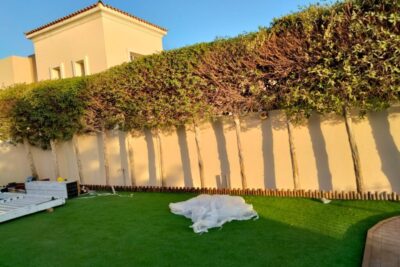 Luxury Villa Rehabilitation-pero-06