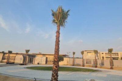 WhatsApp-Image-2023-11-22-at-2.36.25-PM-2-1024×478 farm-project-PerOrient-24