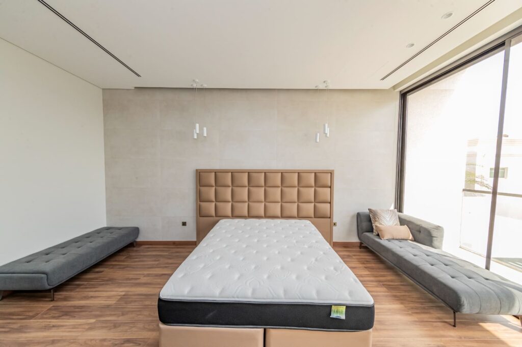 Proposed Mini Palace