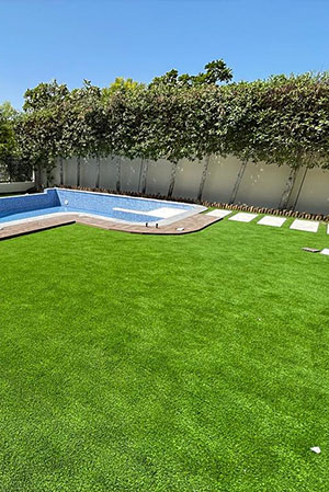 Landscape Construction